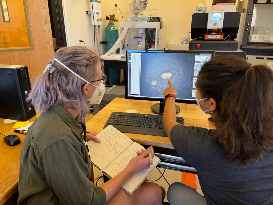 two scientists looking at a magnified image of a zircon crystal on a computer screen